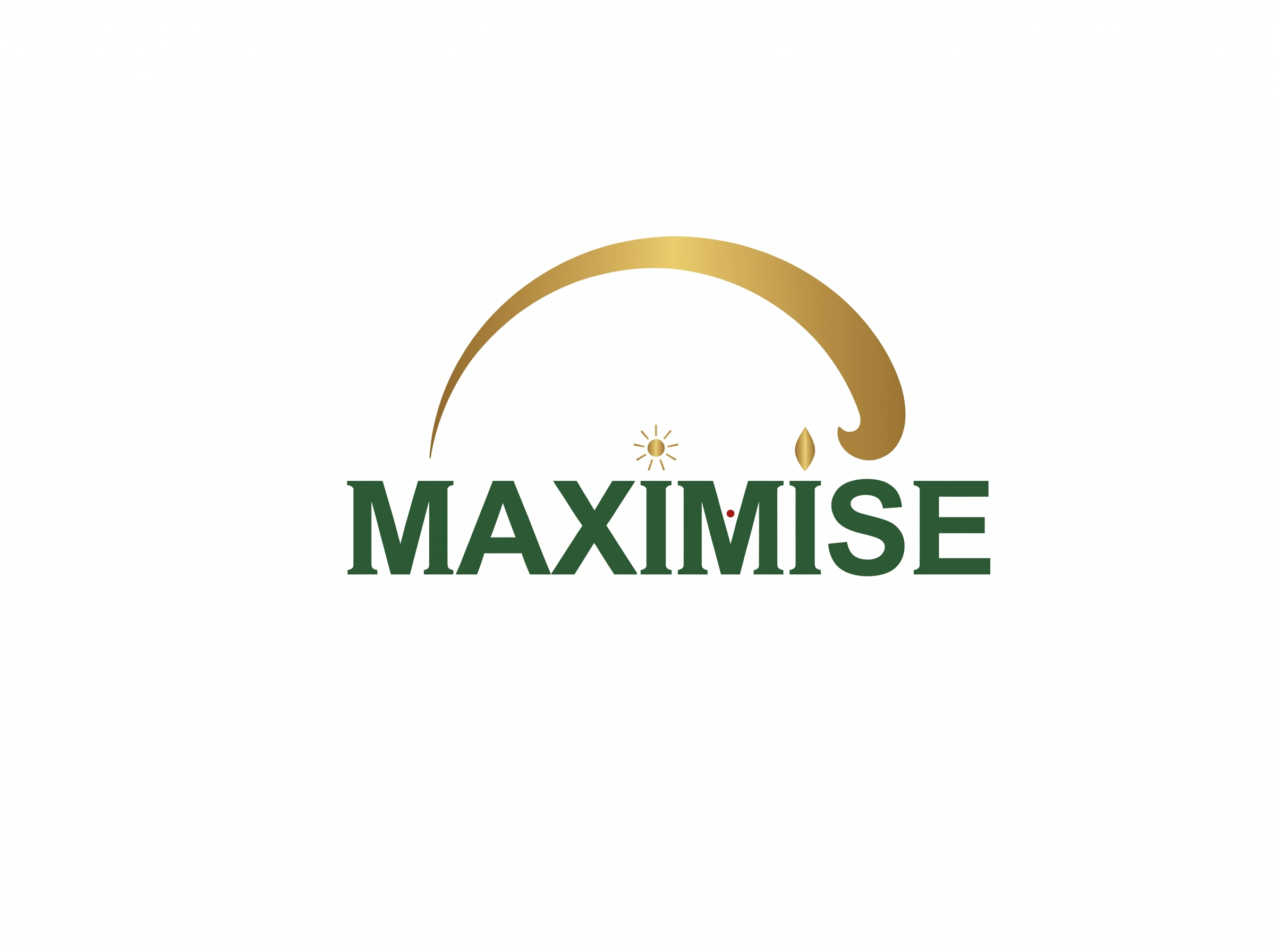 Maximise Real Estate Logo